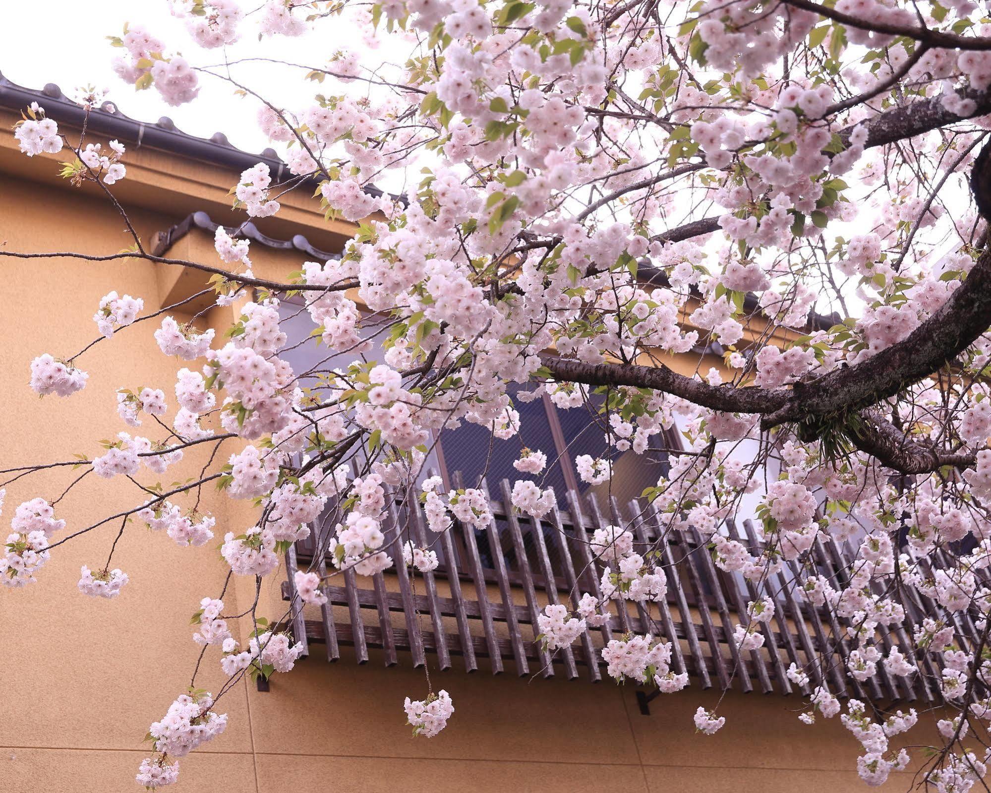 Tabi No Yado Satsuki Hotel Hita Buitenkant foto