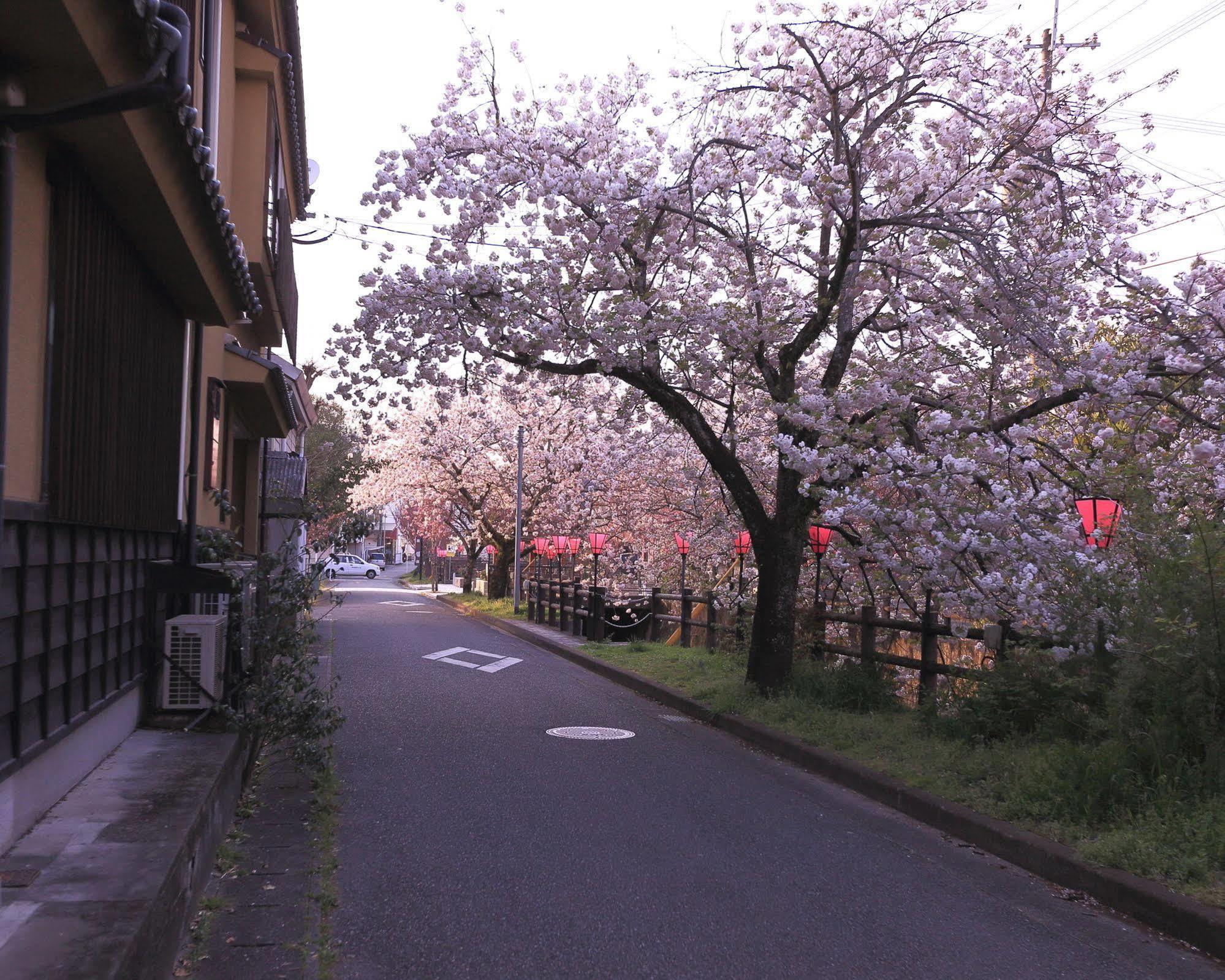 Tabi No Yado Satsuki Hotel Hita Buitenkant foto